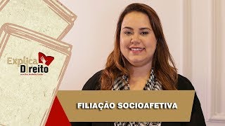 Explica Direito Filiação Socioafetiva  2019 [upl. by Hawkins]