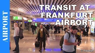 TRANSIT WALK AT FRANKFURT Airport FRA Terminal 1  Connection Flight Transfer Arriving amp Departing [upl. by Voccola]